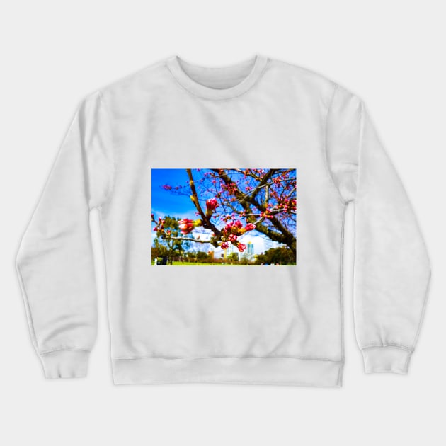 Photography - Fukuoka hanami Crewneck Sweatshirt by Karoのkyuuto